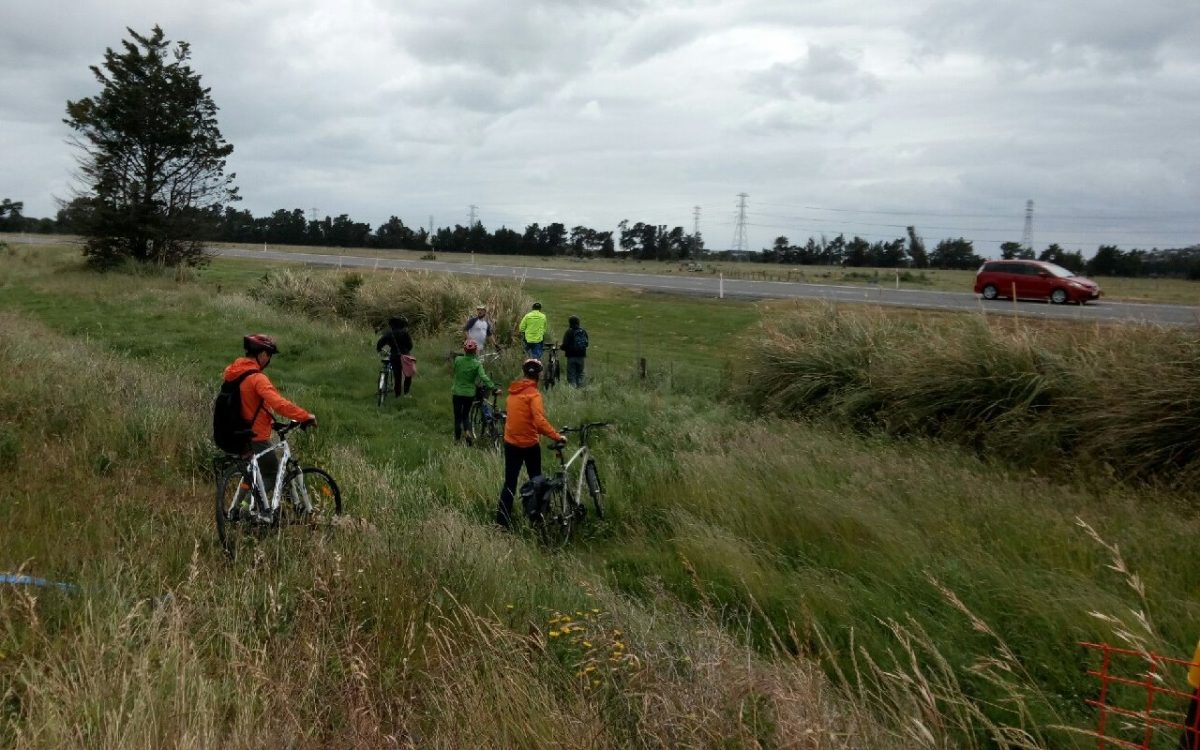 Guest Post: One Ride, Two Cycleways, Many Options